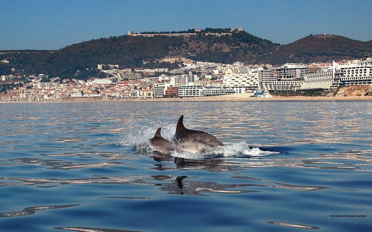 Felp Sesimbra Beach 1006 Экстерьер фото